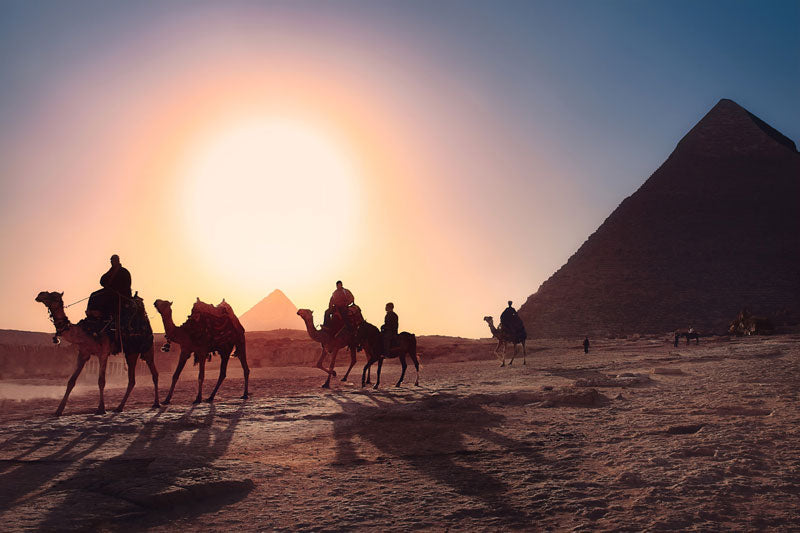 a line of camels with riders walk in front of pyramids with the sun beating down