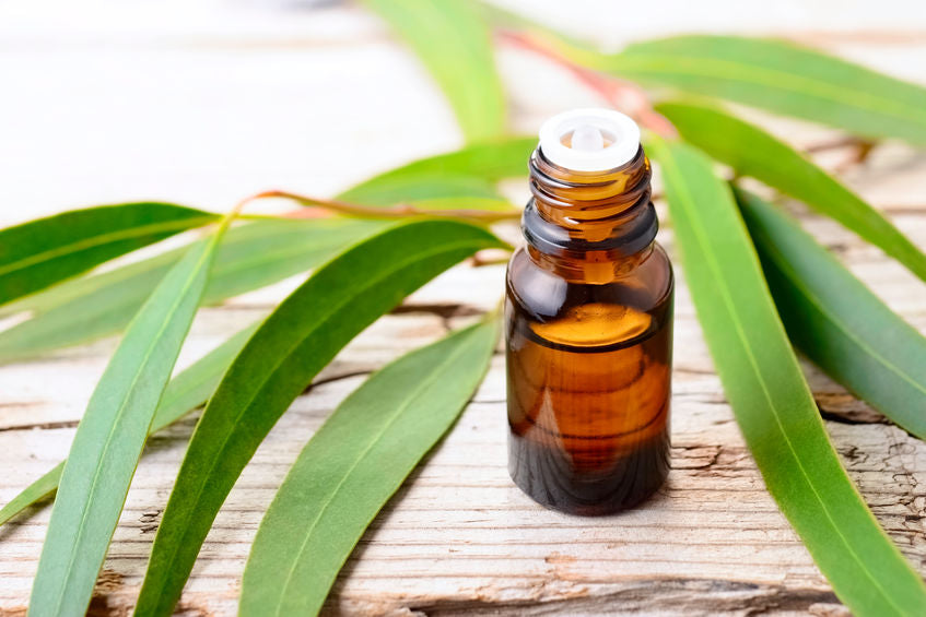 essential oil bottle with cap removed sitting on a wooden table with eucalyptus leaves