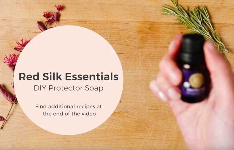 screenshot of title page from youtube video for DIY Protector Soap