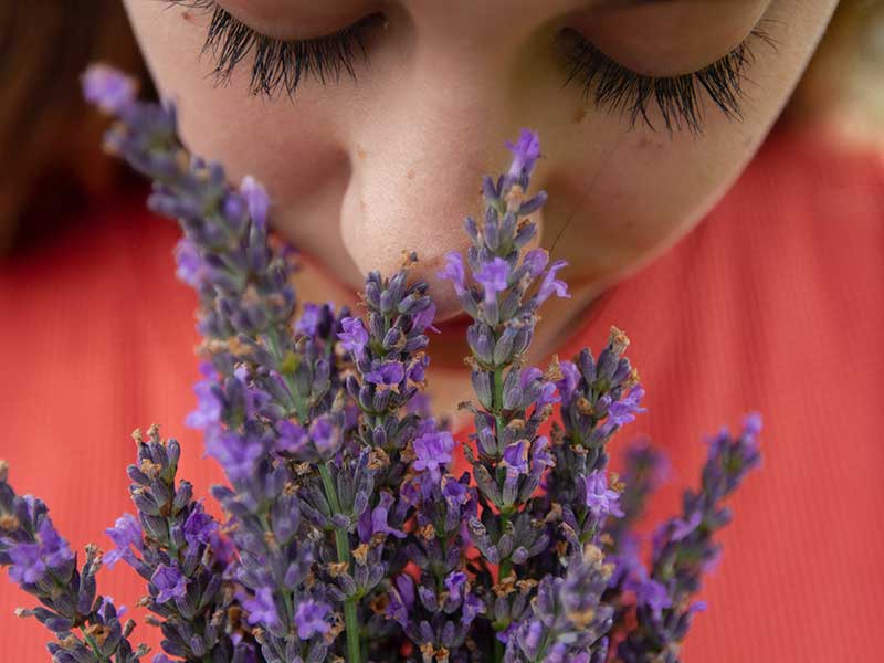 woman in red shirt smelling lavender flowers