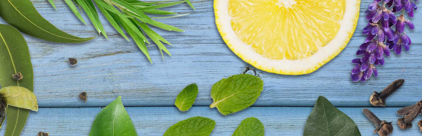 breathe calm botanicals eucalyptus lemon tea tree clove laurel peppermint leaf cardamom clove lavender