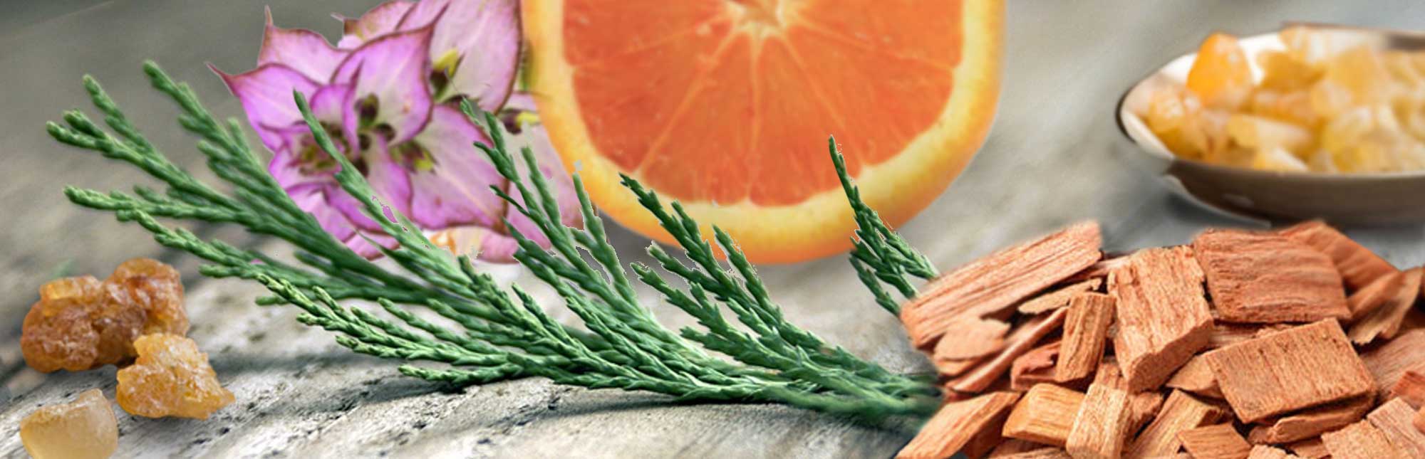 wellness organic plant ingredients orange clary sage cedar frankincense cypress