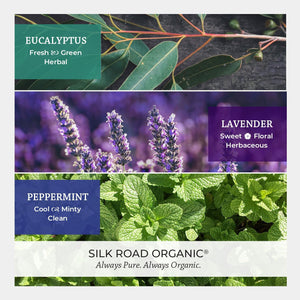 Three-panel botanical scent graphic for Silk Road Organic, showing eucalyptus leaves, lavender flowers, and peppermint leaves with text labels: Eucalyptus Fresh & Green Herbal, Lavender Sweet & Floral Herbaceous, and Peppermint Cool & Minty Clean. Below, the brand name Silk Road Organic appears with the tagline Always Pure. Always Organic