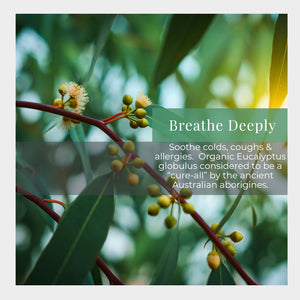 Eucalyptus leaves and flowers with text about eucalyptus benefits on a blurred green background