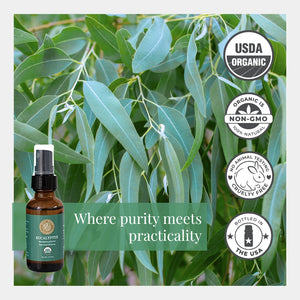 Bottle of eucalyptus oil with eucalyptus leaves and organic certification logos on a green background.