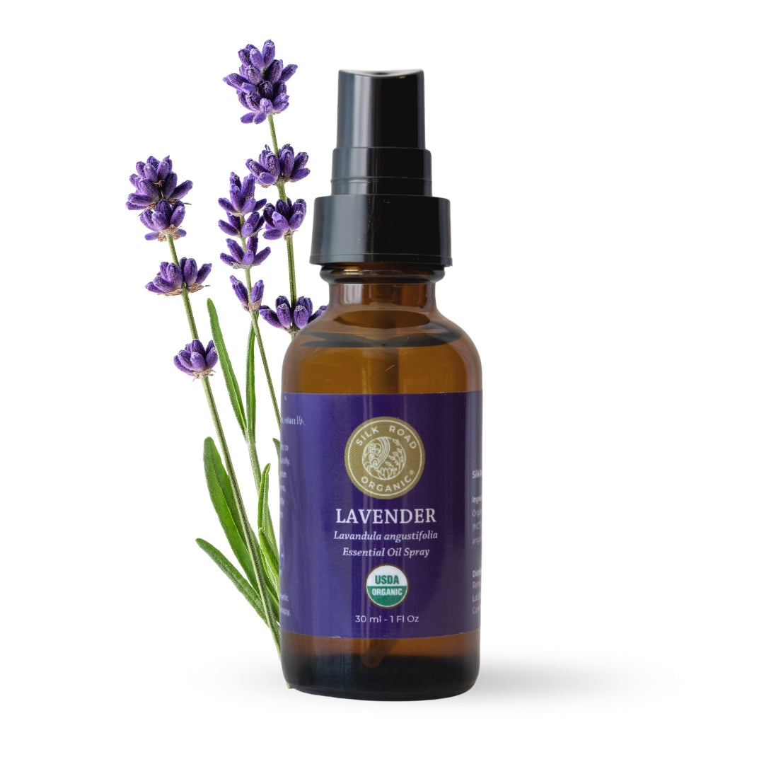 Bottle of lavender essential oil spray with lavender flowers on a white background