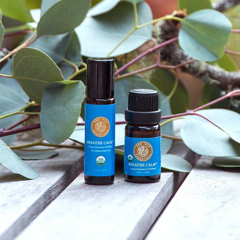 essential oils for respiratory support red silk essentials organic breathe calm essential oil blend bottle and pre-diluted roll-on