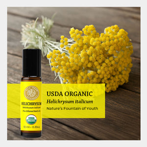 USDA organic helichrysum italicum natures fountain of youth