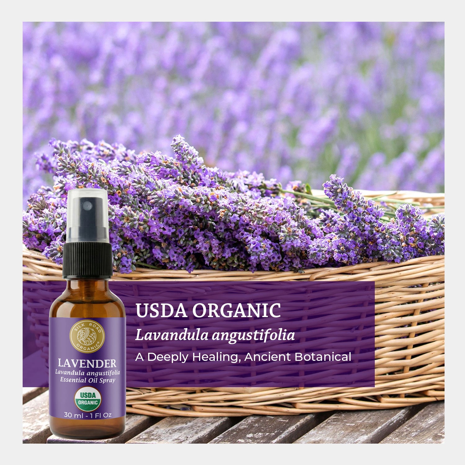 spray lavender oil on plants USDA Organic LAVENDER Essential Oil Spray