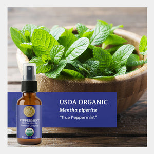USDA certified organic mentha piperita