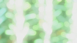 USDA Organic ROSEMARY Essential Oil Spray