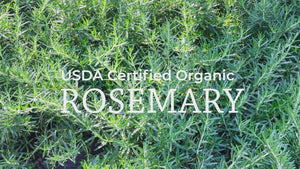 USDA Certified Organic Rosemary Essential Oil video