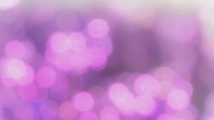 USDA Organic LAVENDER Essential Oil Spray