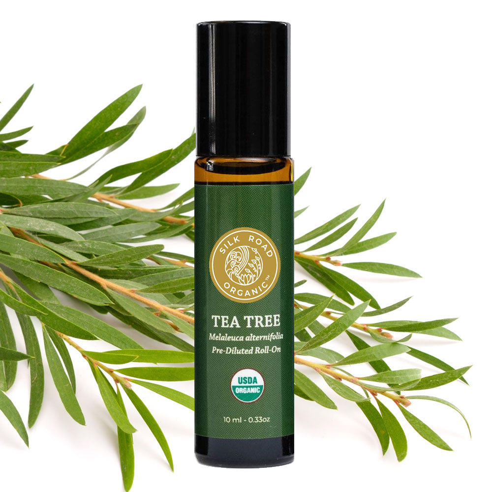 tea tree Melaleuca alternifolia essential oil diluted roll-on silk road organic