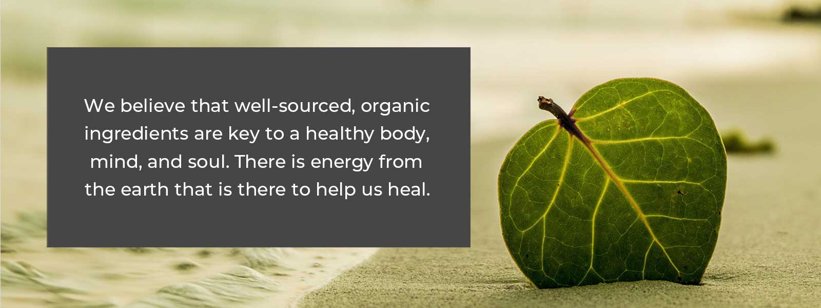 we believe organic ingredients are key to a healthy body mind and soul